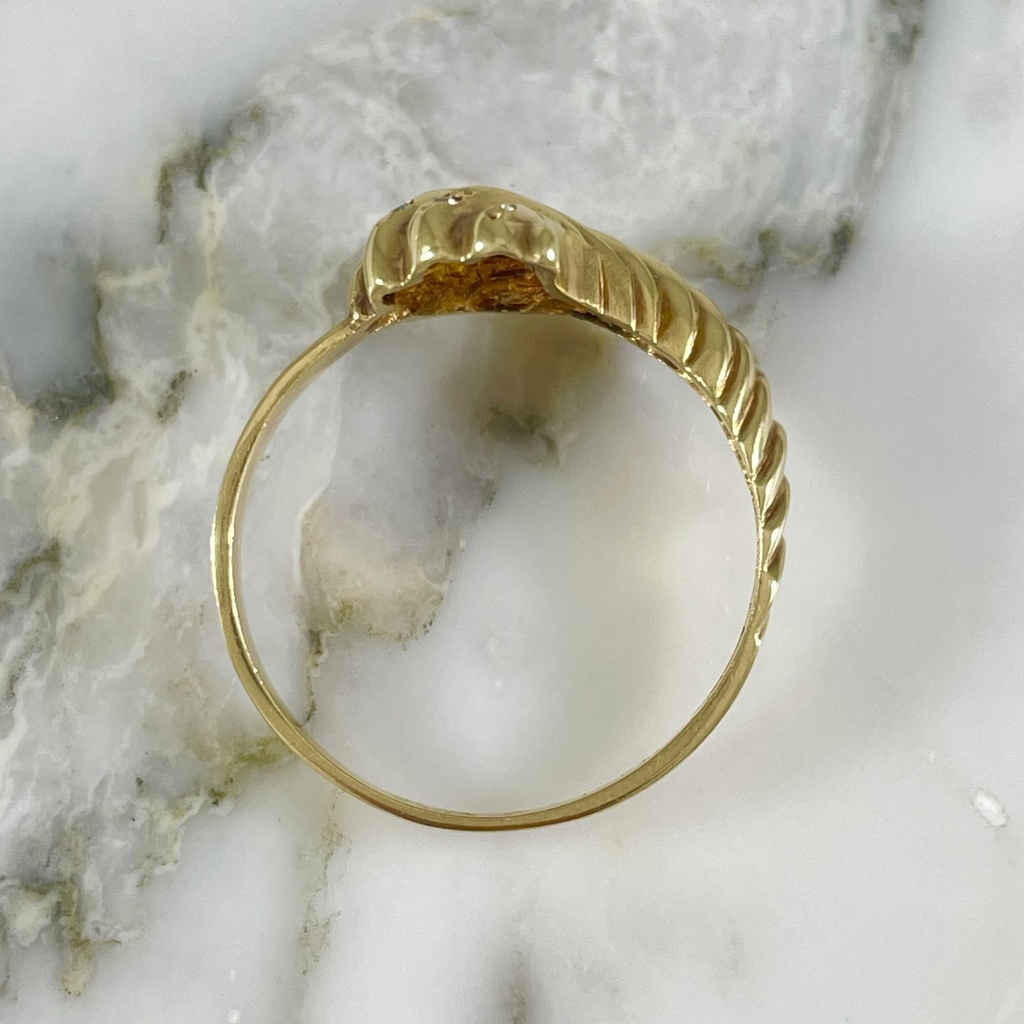 Anillo Triton Del Atlantico