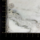 Tobillera Figuras De La Naturaleza