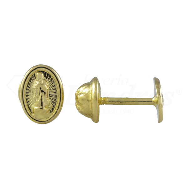 Virgin Of Guadalupe Earrings