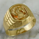 Anillo Hunter
