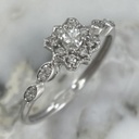 Anillo Ann