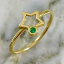 Anillo Silueta Figuras Esmeralda