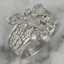 Anillo San Miguel Arcangel